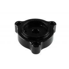 DV + VALVE FOR BMW M2 F87 FMIC.EU